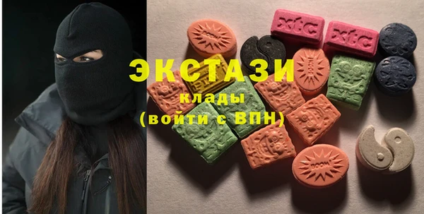 ECSTASY Каменка